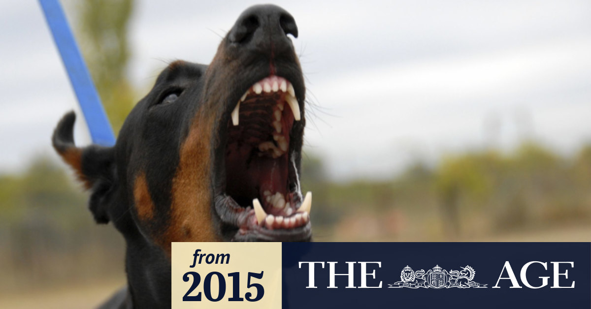 Muzzle that mutt council wants power to issue dangerous dog fines